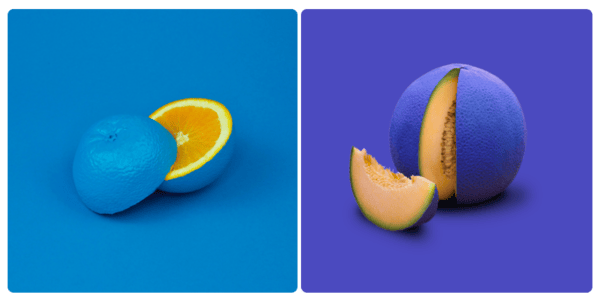 blue coloured orange and coloured melon